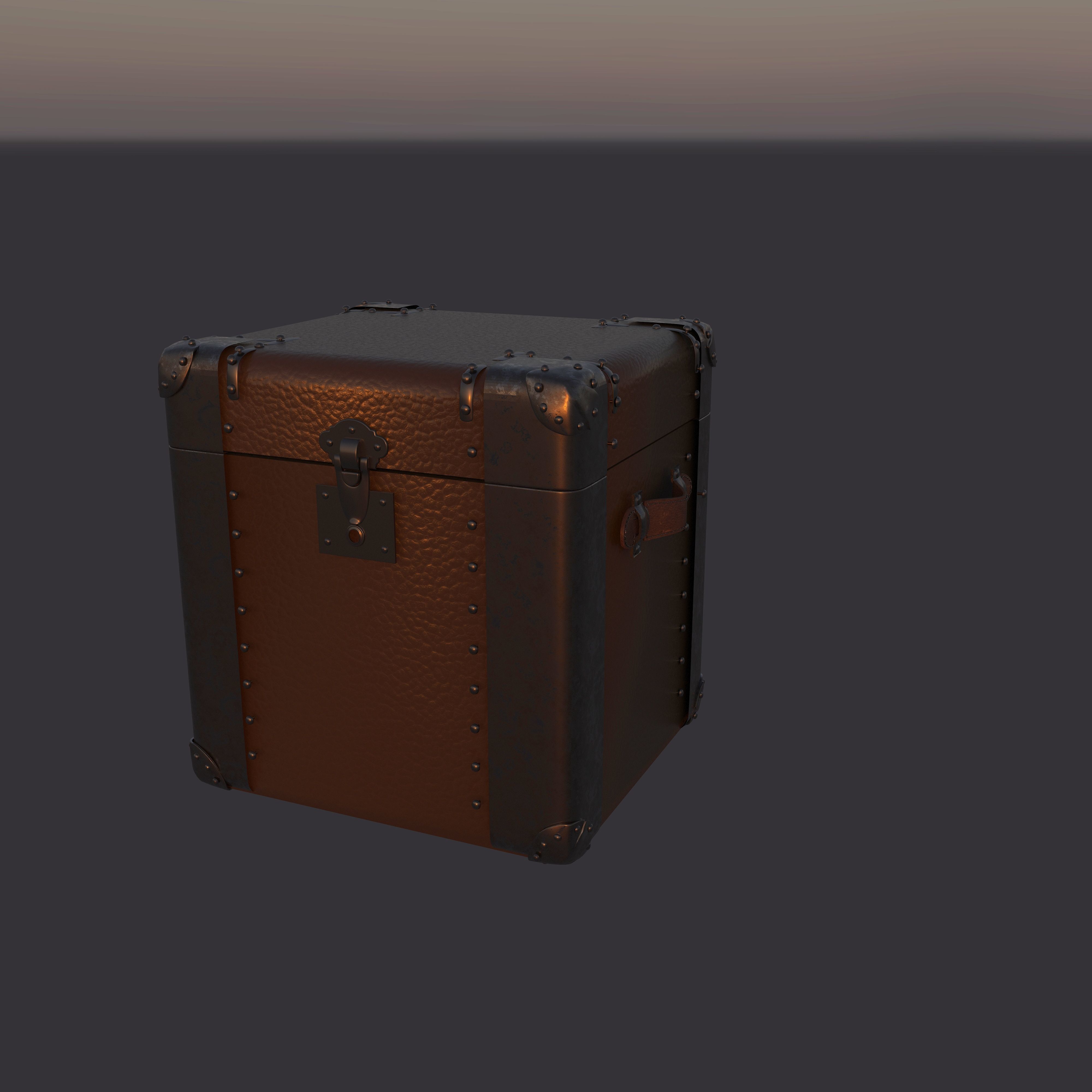   Chest Trunk 3D model_2