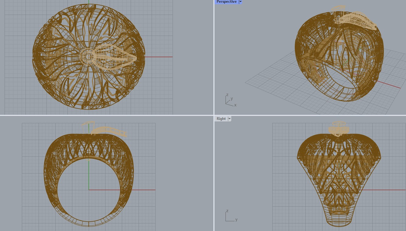 R 117 Apple Ring 3D print model_16