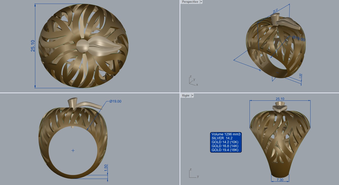 R 117 Apple Ring 3D print model_15