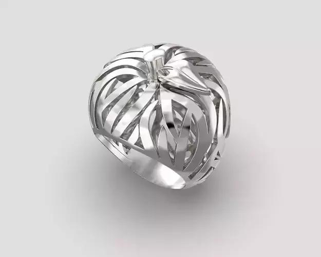 R 117 Apple Ring 3D print model