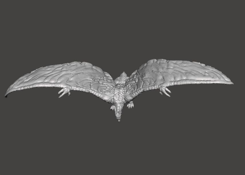 RODAN 2019 KAIJU MONSTER MINIATURE MODEL FANTASY GAMES RPG DND 3D print model_9