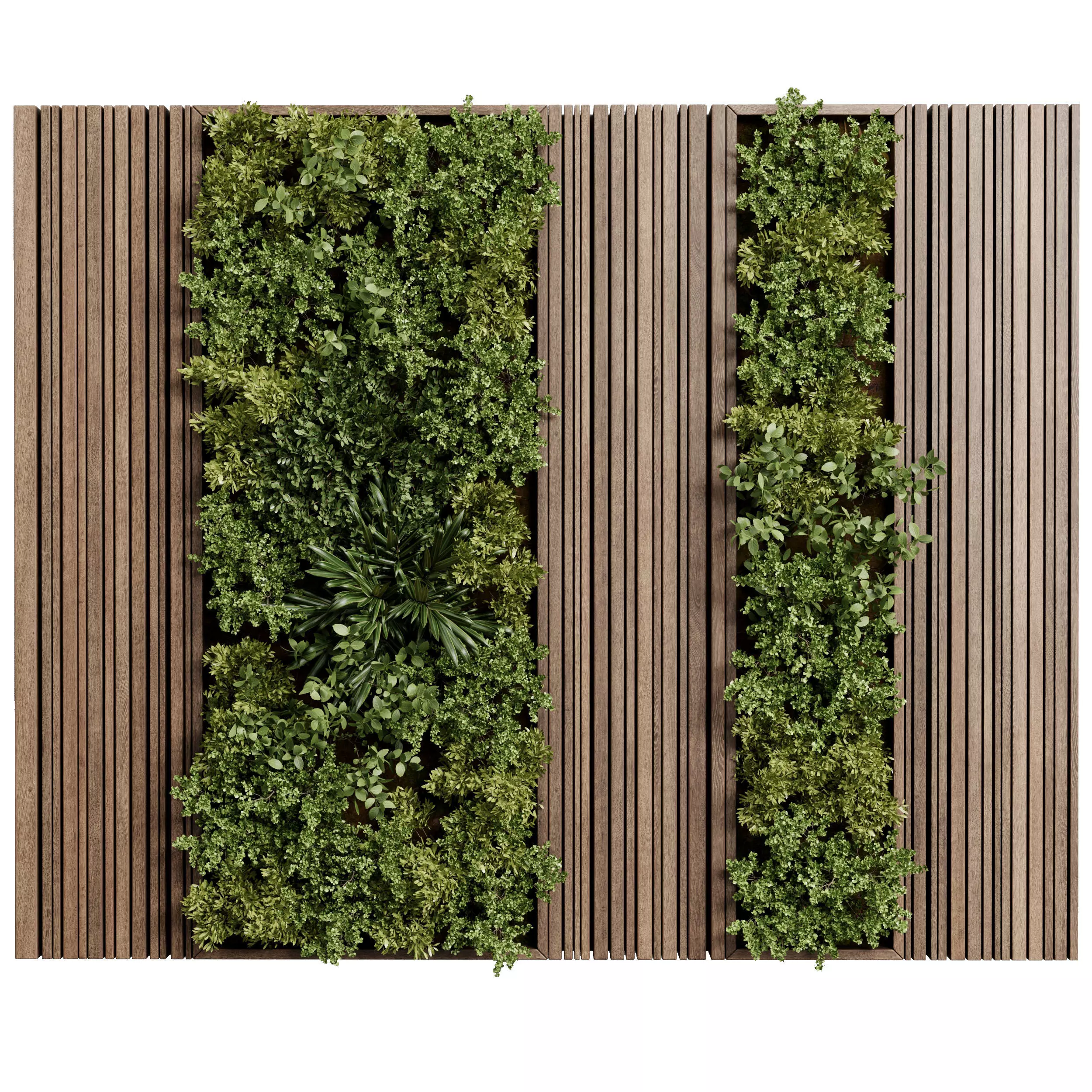 Vertical Wall Garden - plant box garden set of wooden frame 94 3D model