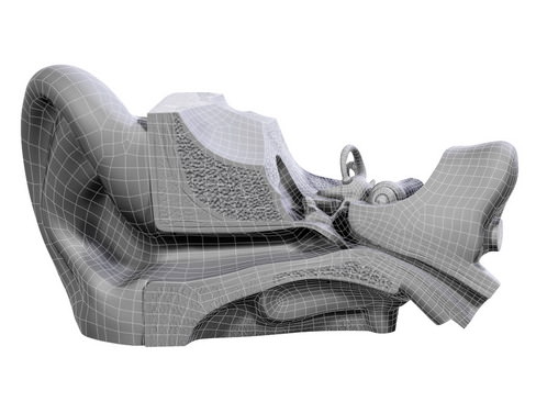 Human ear 3D model_11
