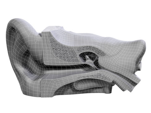 Human ear 3D model_10
