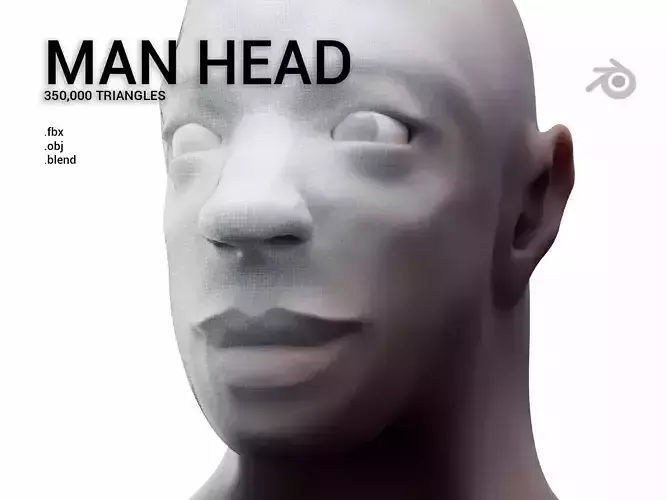 Realistic 3D Human Head with African Features