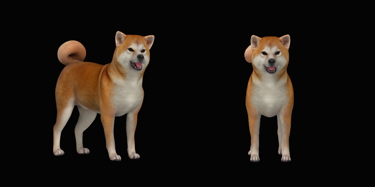 Japanese Shiba Inu Dog Low-poly 3D model_31