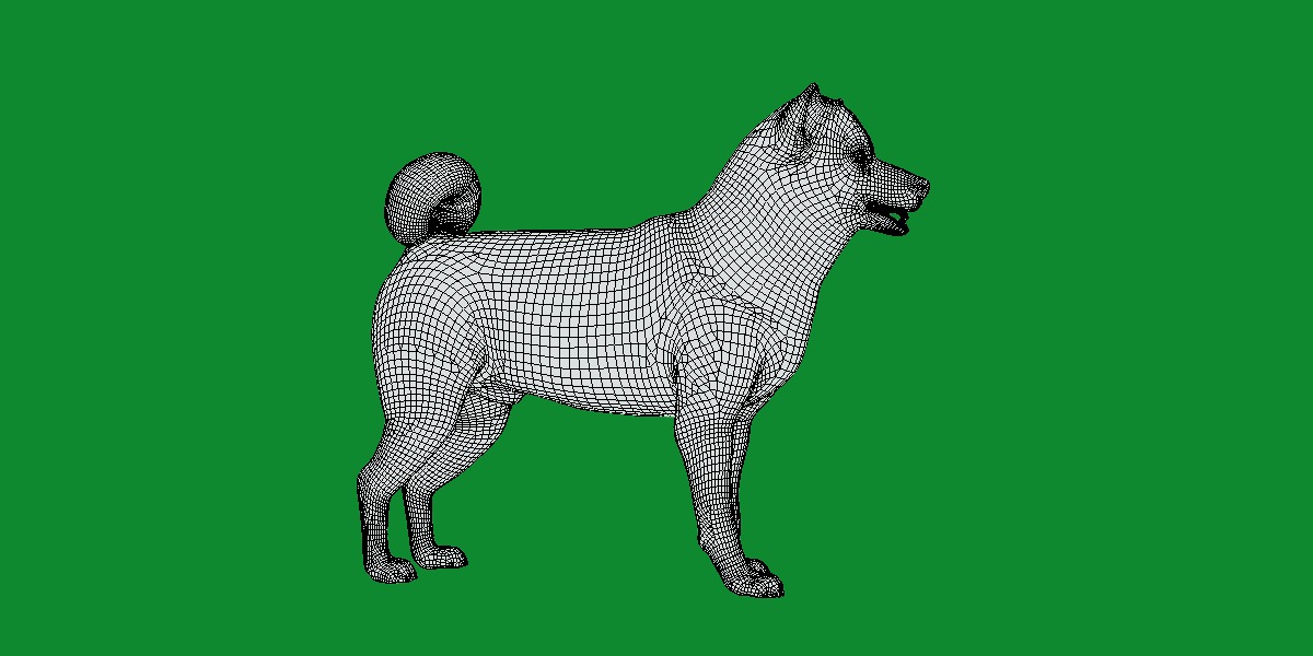 Japanese Shiba Inu Dog Low-poly 3D model_18