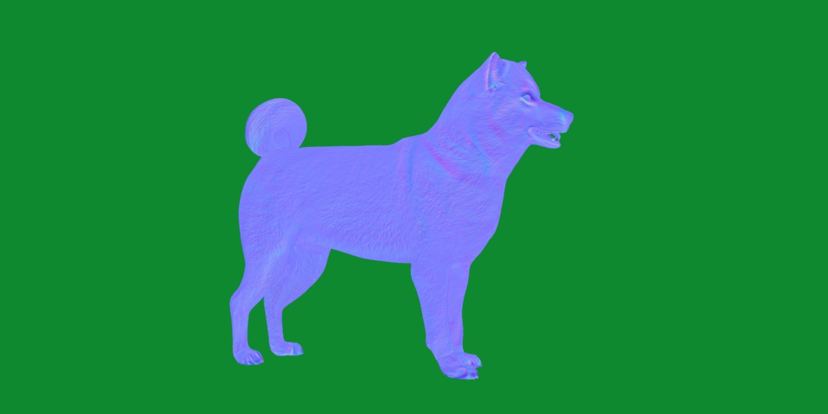 Japanese Shiba Inu Dog Low-poly 3D model_11