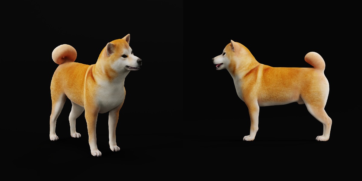 Japanese Shiba Inu Dog Low-poly 3D model_25