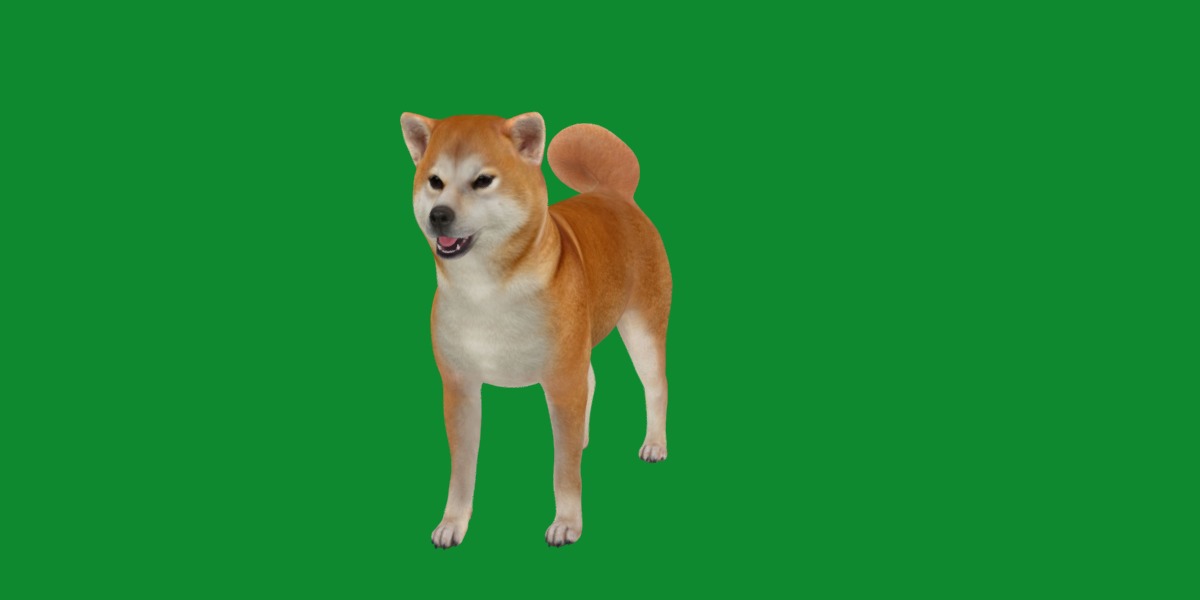 Japanese Shiba Inu Dog Low-poly 3D model_13