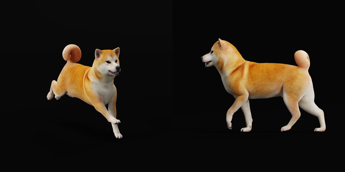 Japanese Shiba Inu Dog Low-poly 3D model_27