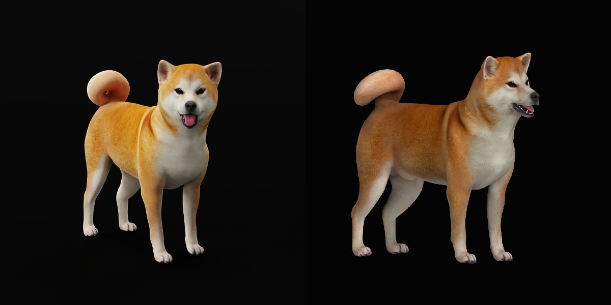 Japanese Shiba Inu Dog Low-poly 3D model_6