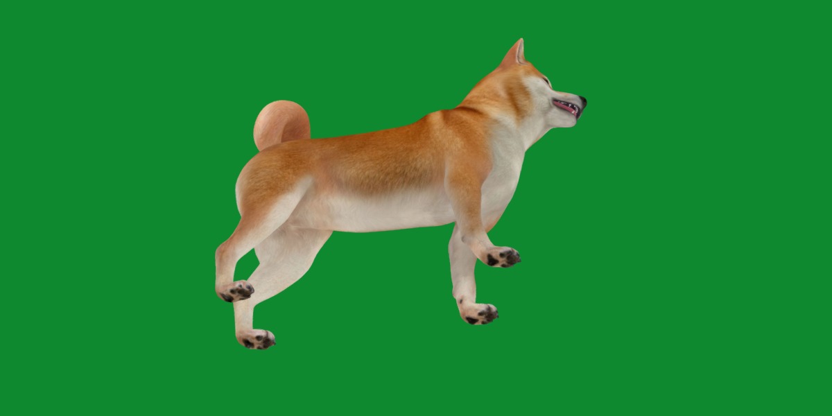 Japanese Shiba Inu Dog Low-poly 3D model_10