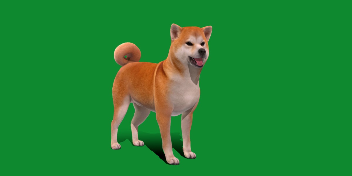 Japanese Shiba Inu Dog Low-poly 3D model_28