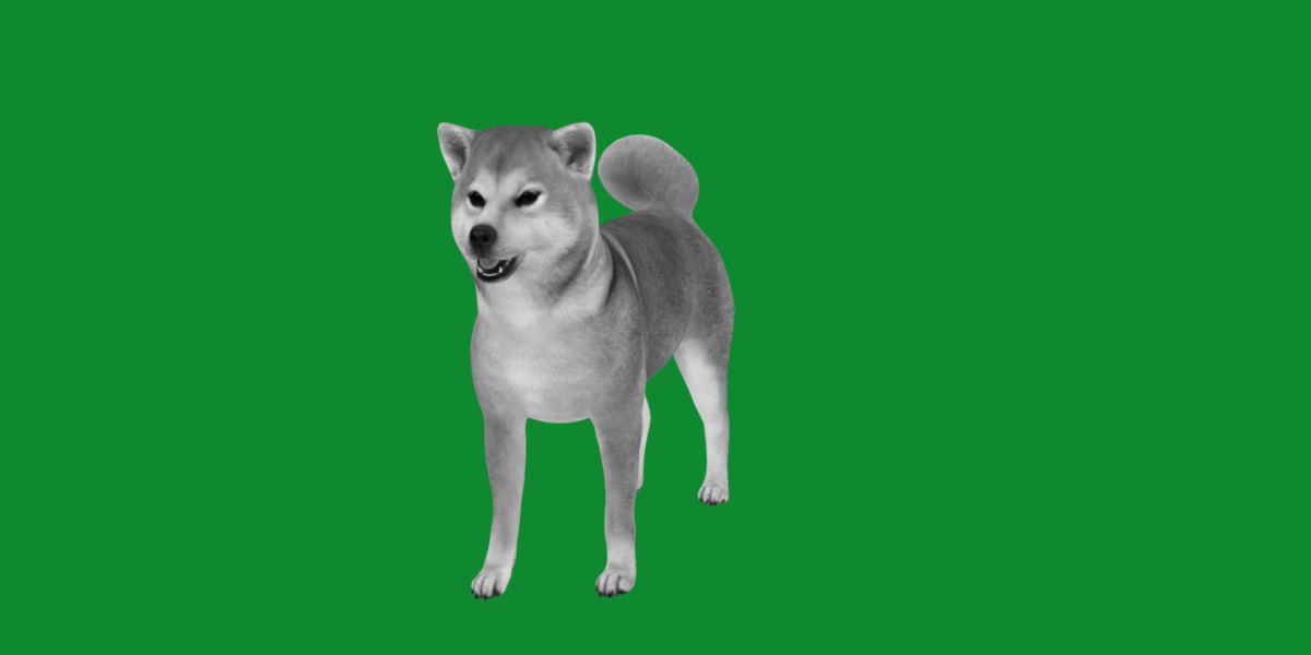 Japanese Shiba Inu Dog Low-poly 3D model_14