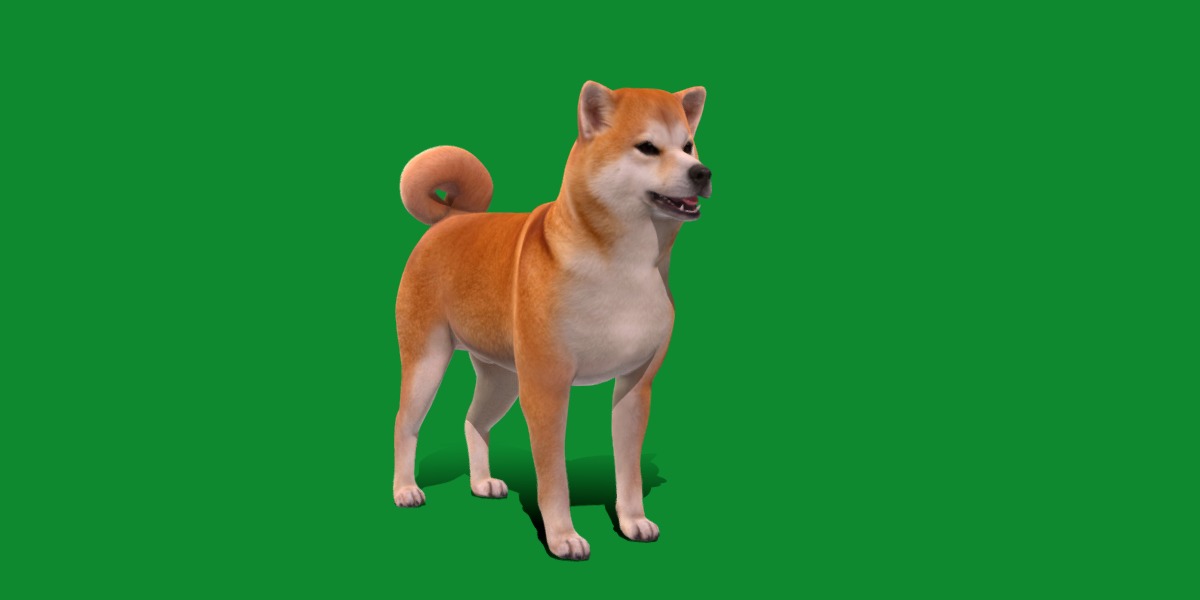 Japanese Shiba Inu Dog Low-poly 3D model_30