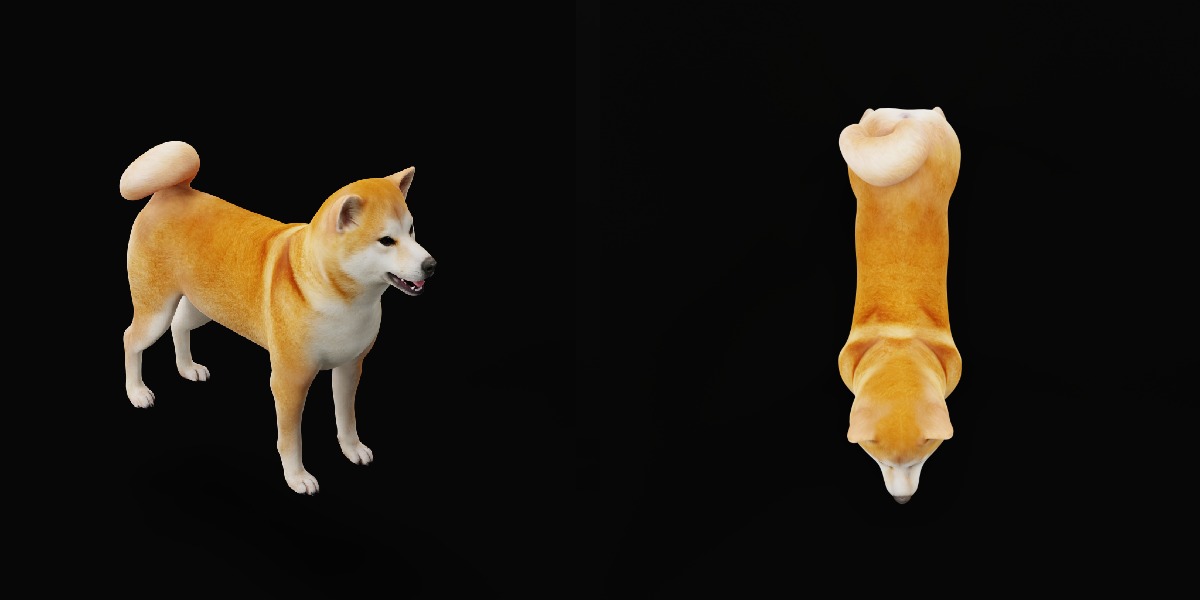 Japanese Shiba Inu Dog Low-poly 3D model_26