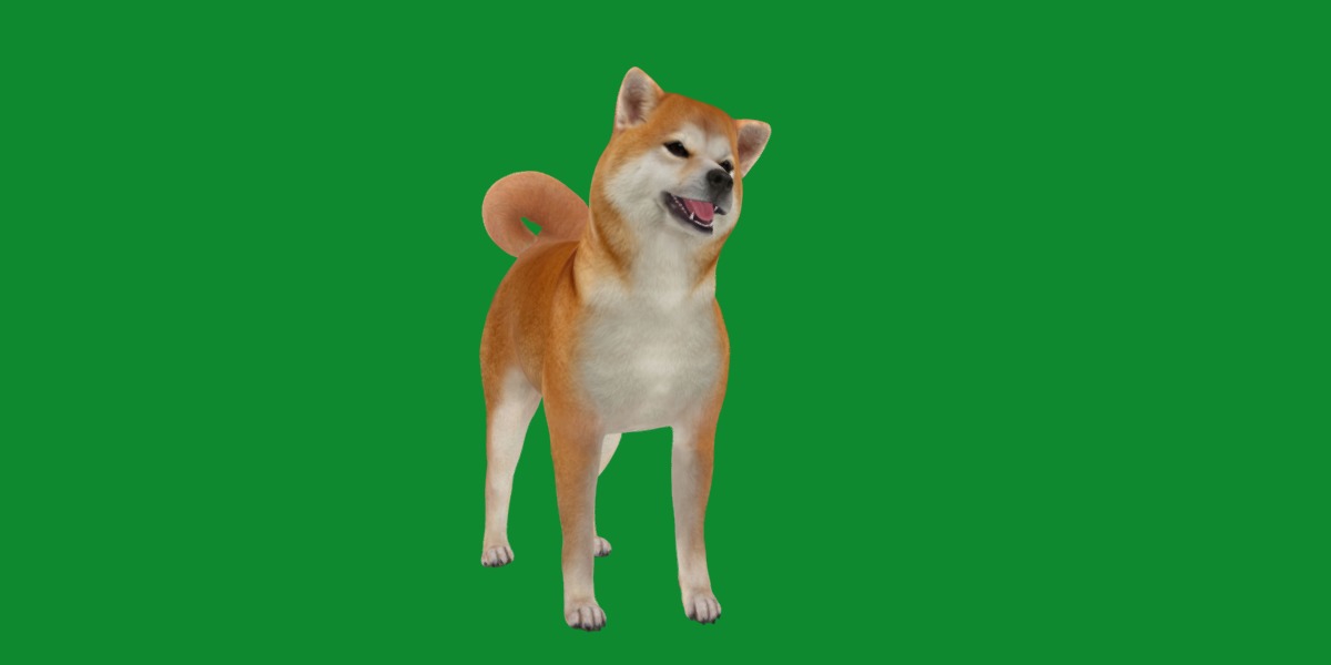 Japanese Shiba Inu Dog Low-poly 3D model_23