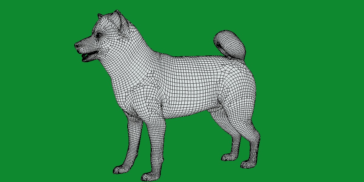 Japanese Shiba Inu Dog Low-poly 3D model_19