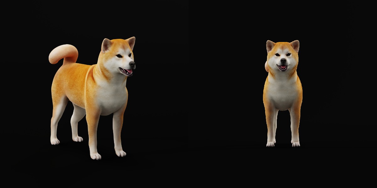 Japanese Shiba Inu Dog Low-poly 3D model_16