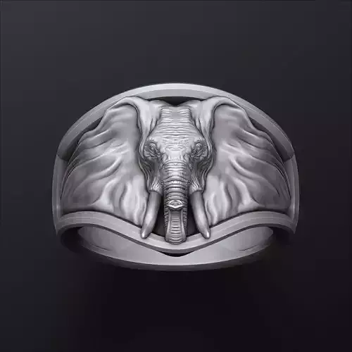 Elephant Ring N2 3D print model