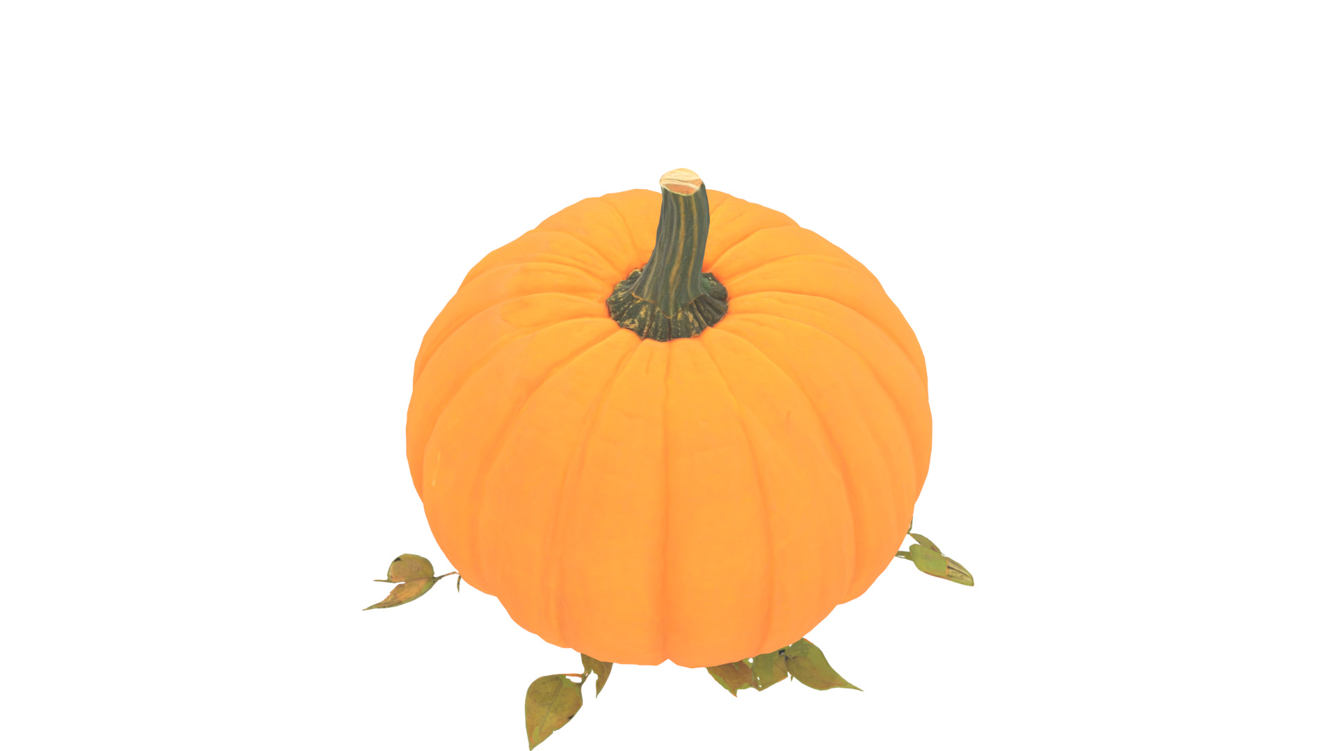 pumpkin Low-poly 3D model_17