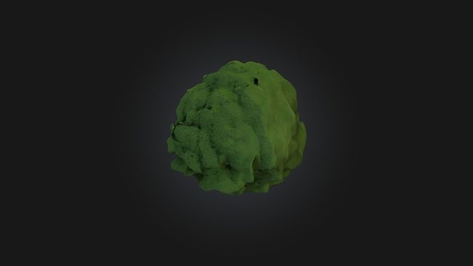 Bush model Low-poly 3D model