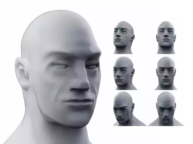 Realistic MALE Human Head 3D model