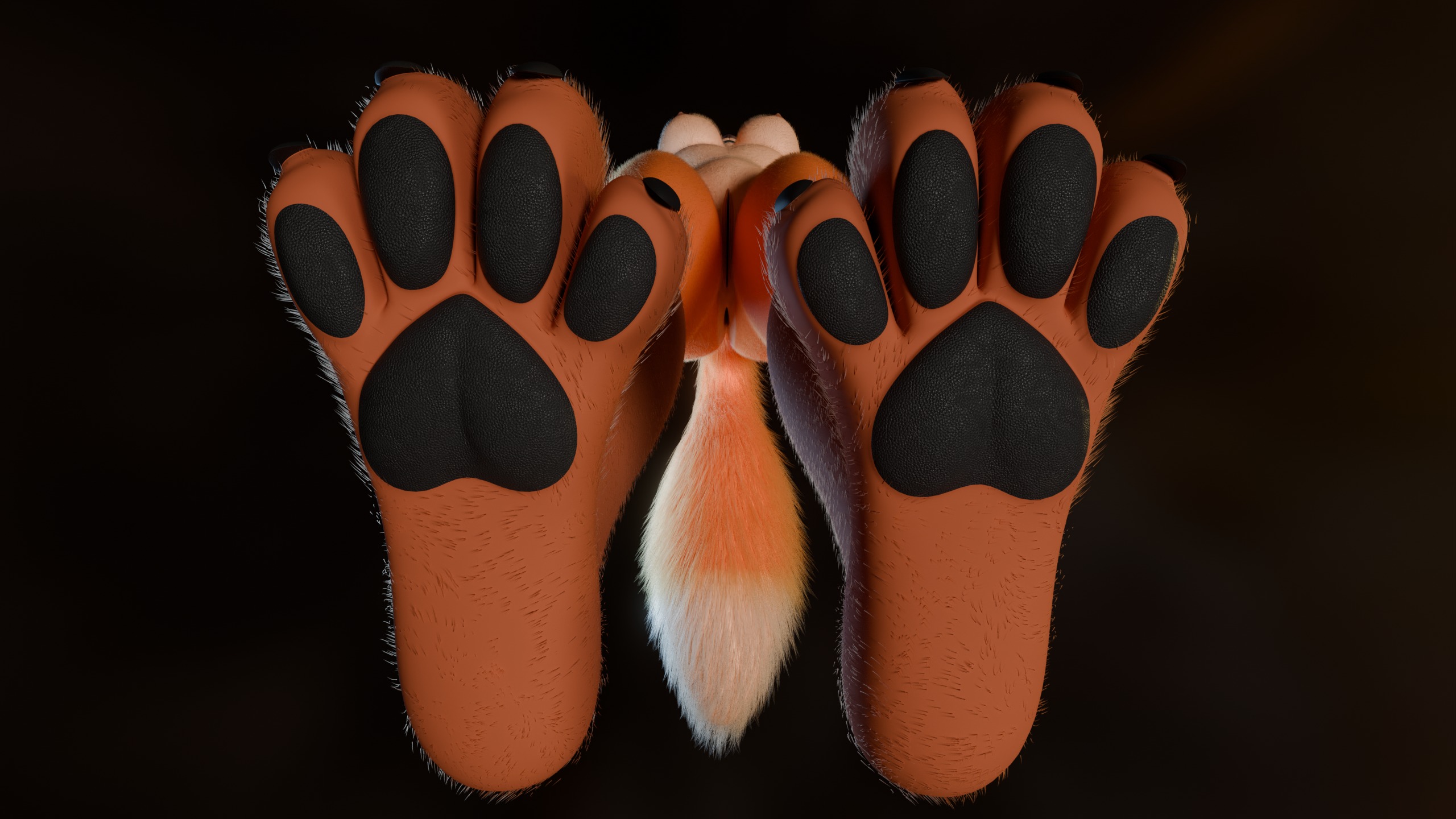 Luna Anthro Fox Low-poly 3D model_13