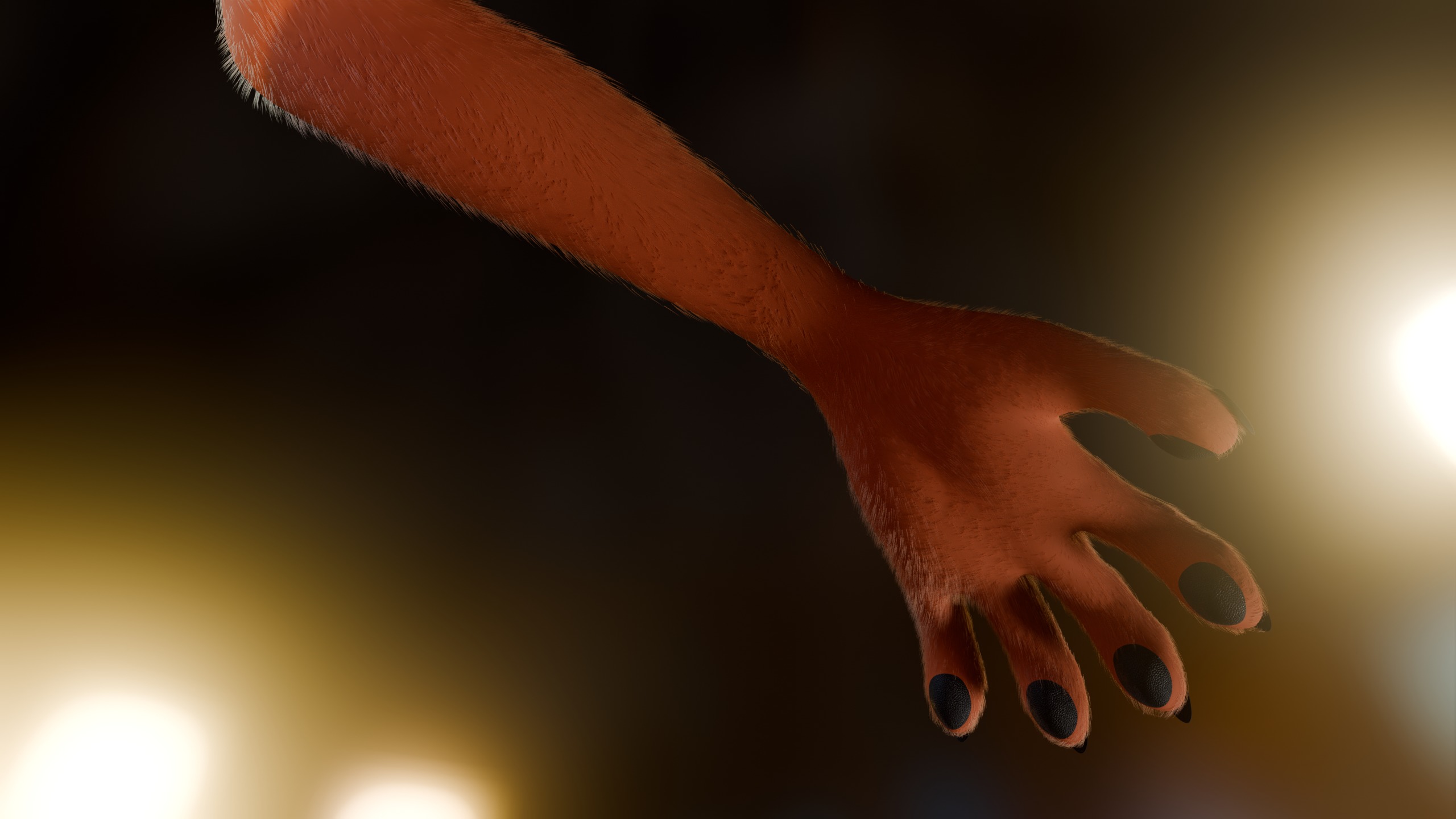 Luna Anthro Fox Low-poly 3D model_11