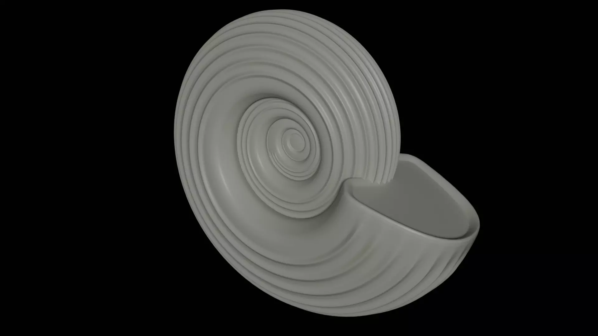 Ammonoid shell with spiral lines 3D model