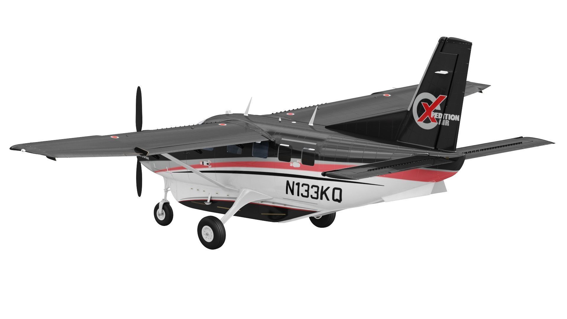 Kodiak 100 3D model_7