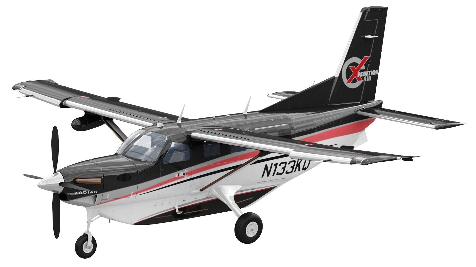 Kodiak 100 3D model_1