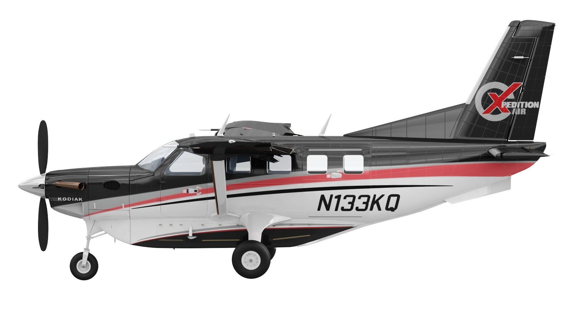 Kodiak 100 3D model_6