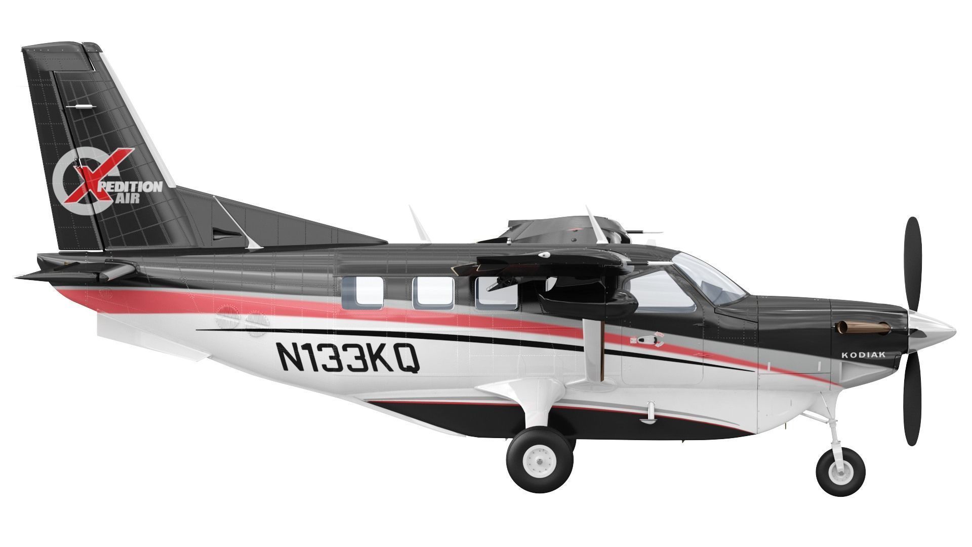 Kodiak 100 3D model_19