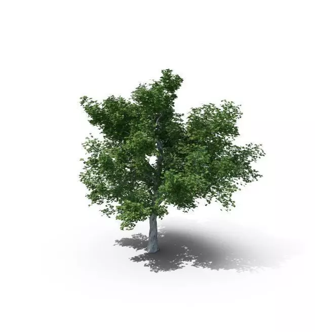 Arbol en 3D Free 3D print model_0
