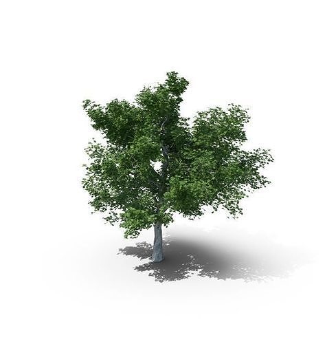 Arbol en 3D Free 3D print model