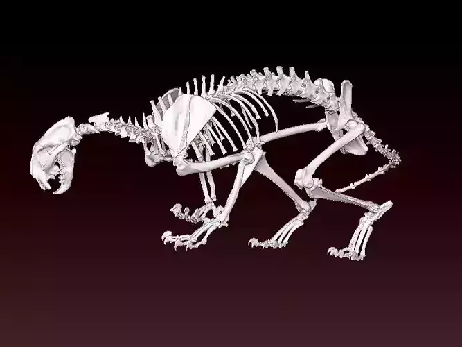 Decorative Mountain Lion bone - 3D print 3D print model