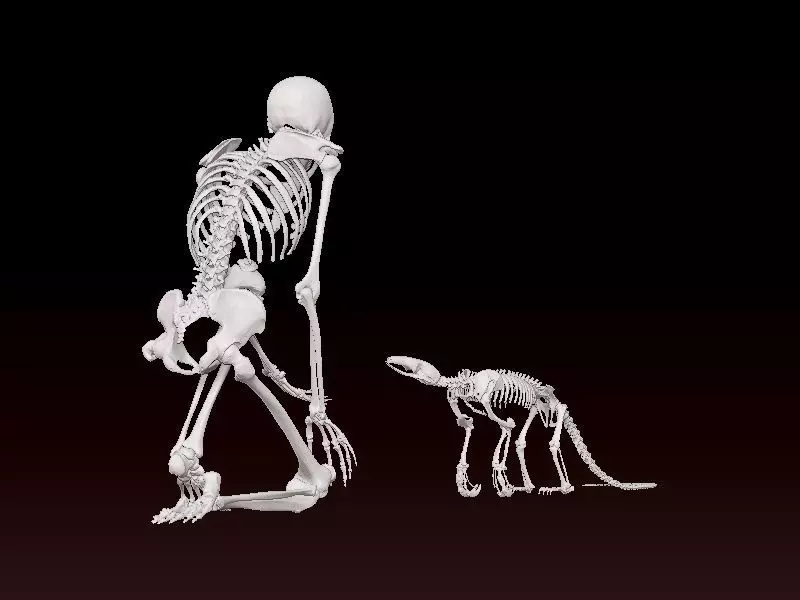 Human bones and baby dinosaur statue - 3D print 3D print model_0