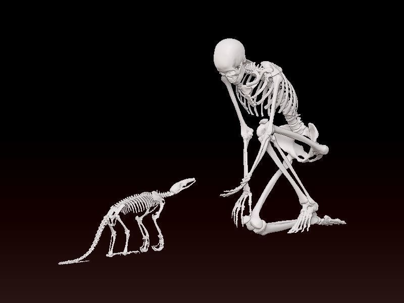 Human bones and baby dinosaur statue - 3D print 3D print model_1