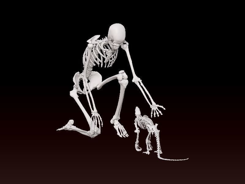 Human bones and baby dinosaur statue - 3D print 3D print model_2