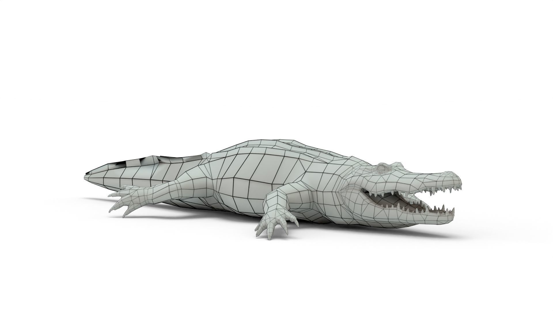 Low Poly Alligator 3D Model 3D model_7