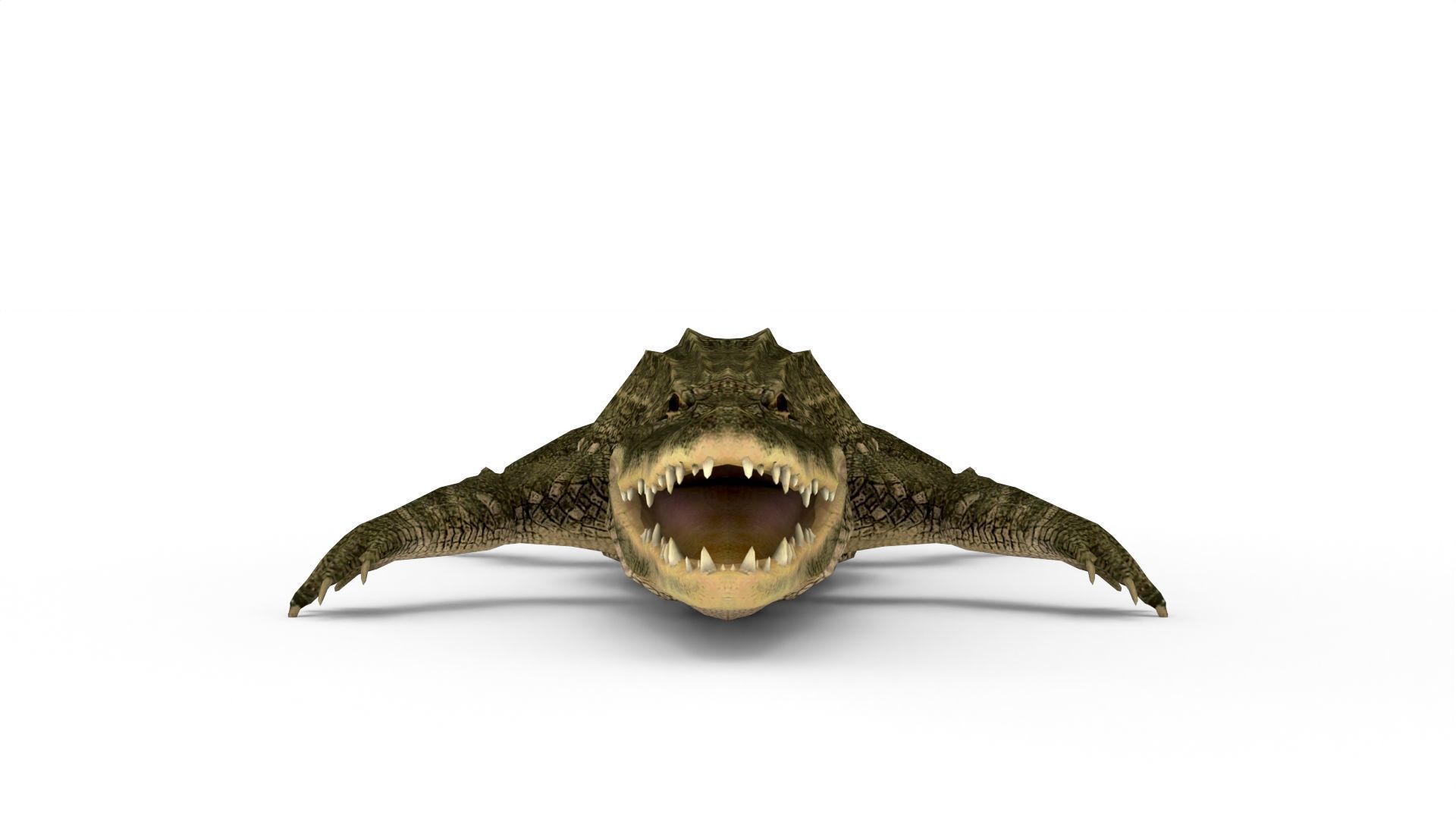 Low Poly Alligator 3D Model 3D model_1