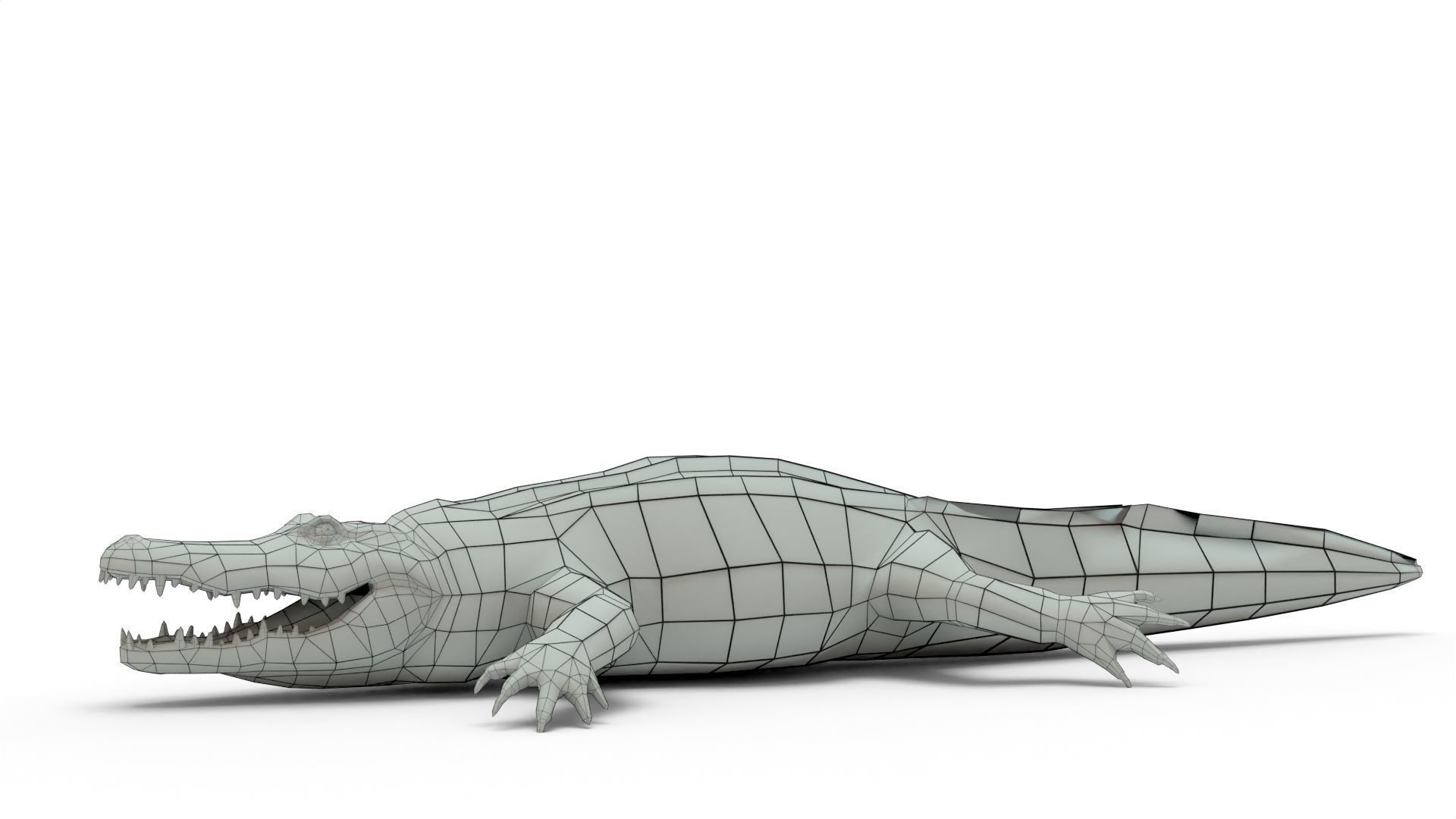 Low Poly Alligator 3D Model 3D model_9