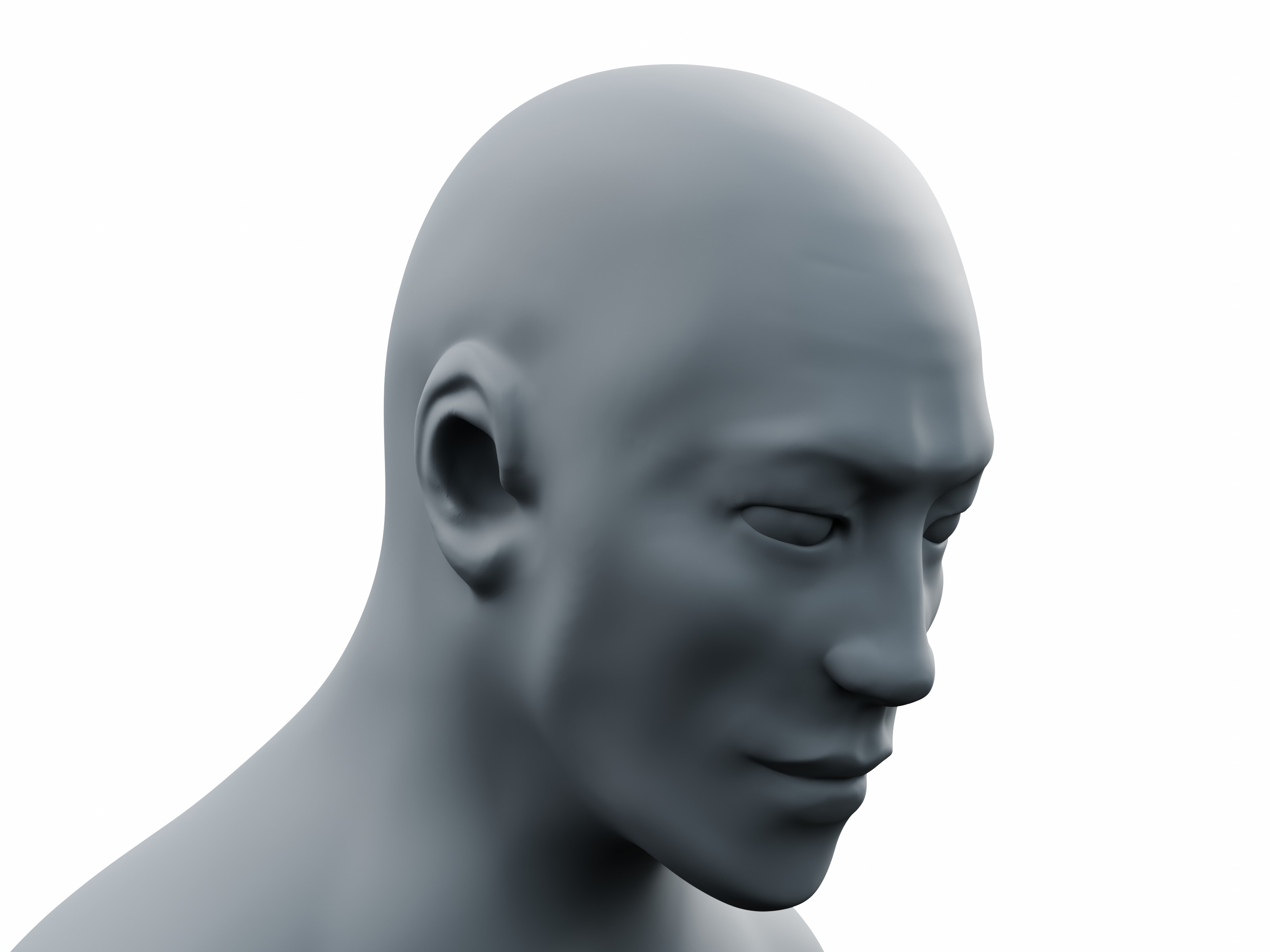 Male Head Sculpt High-Resolution  3D model_6
