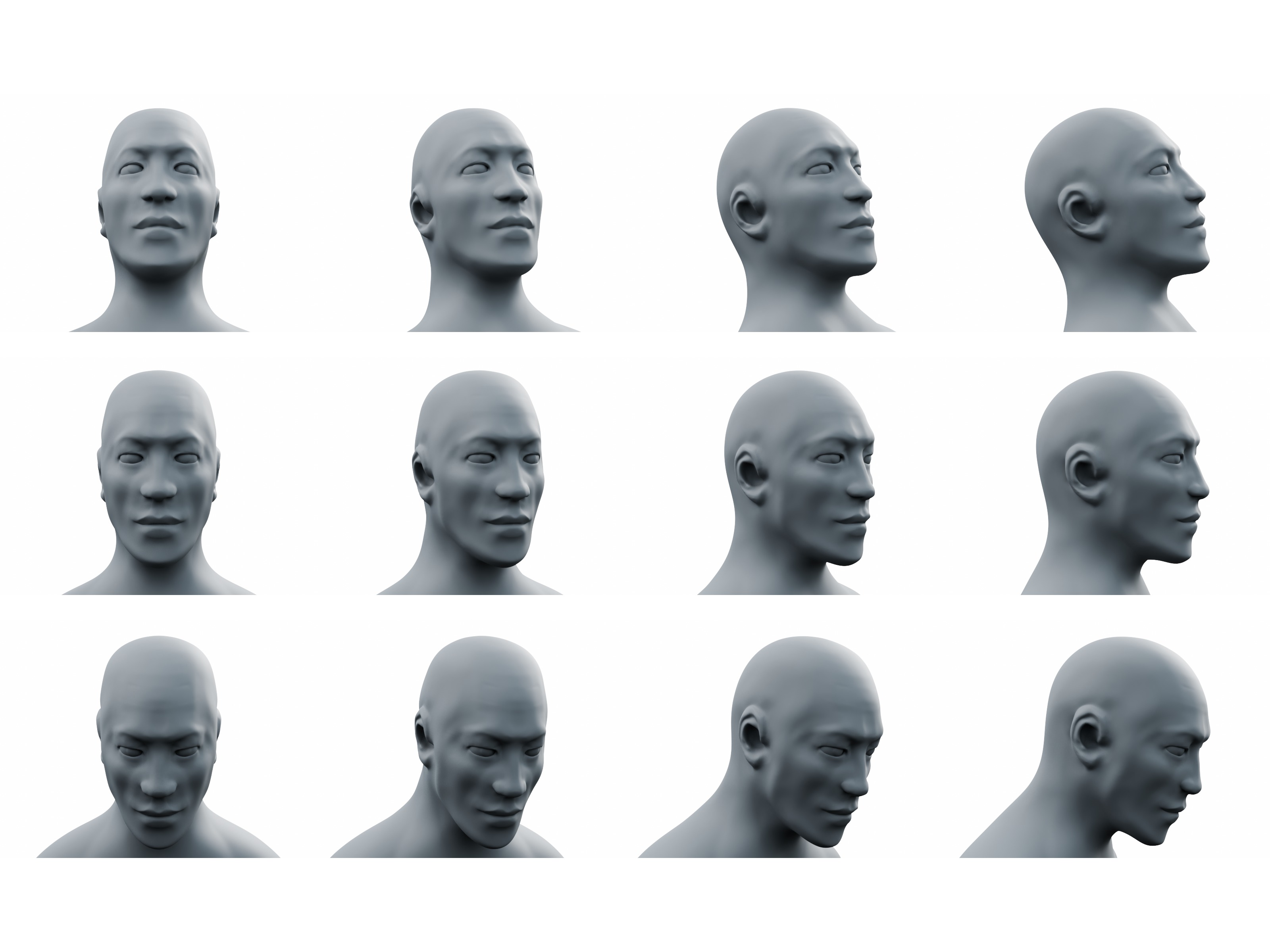 Male Head Sculpt High-Resolution  3D model_2
