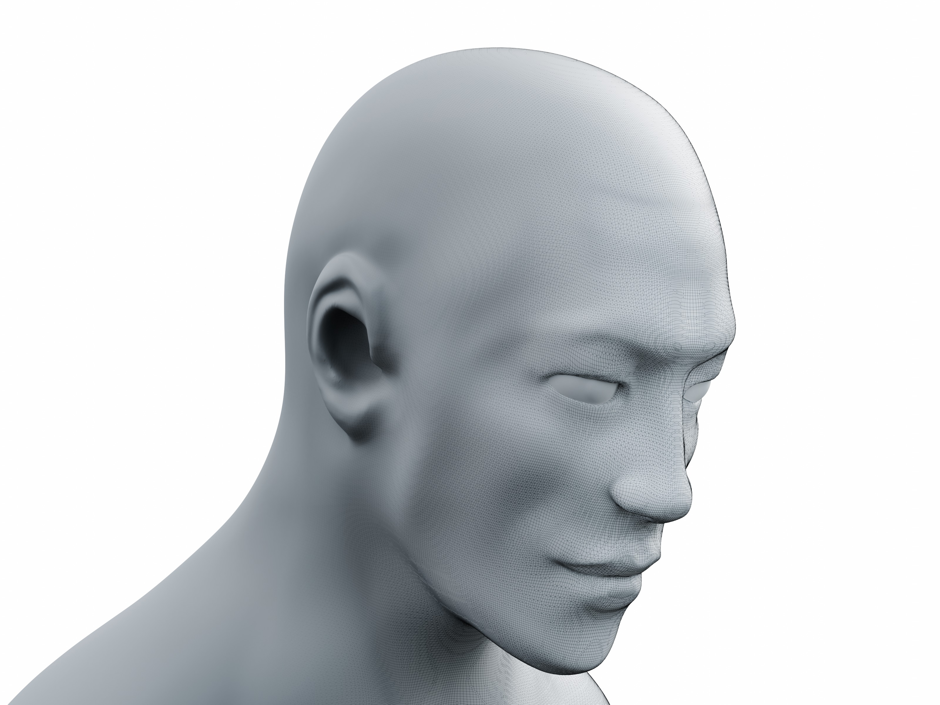 Male Head Sculpt High-Resolution  3D model_1