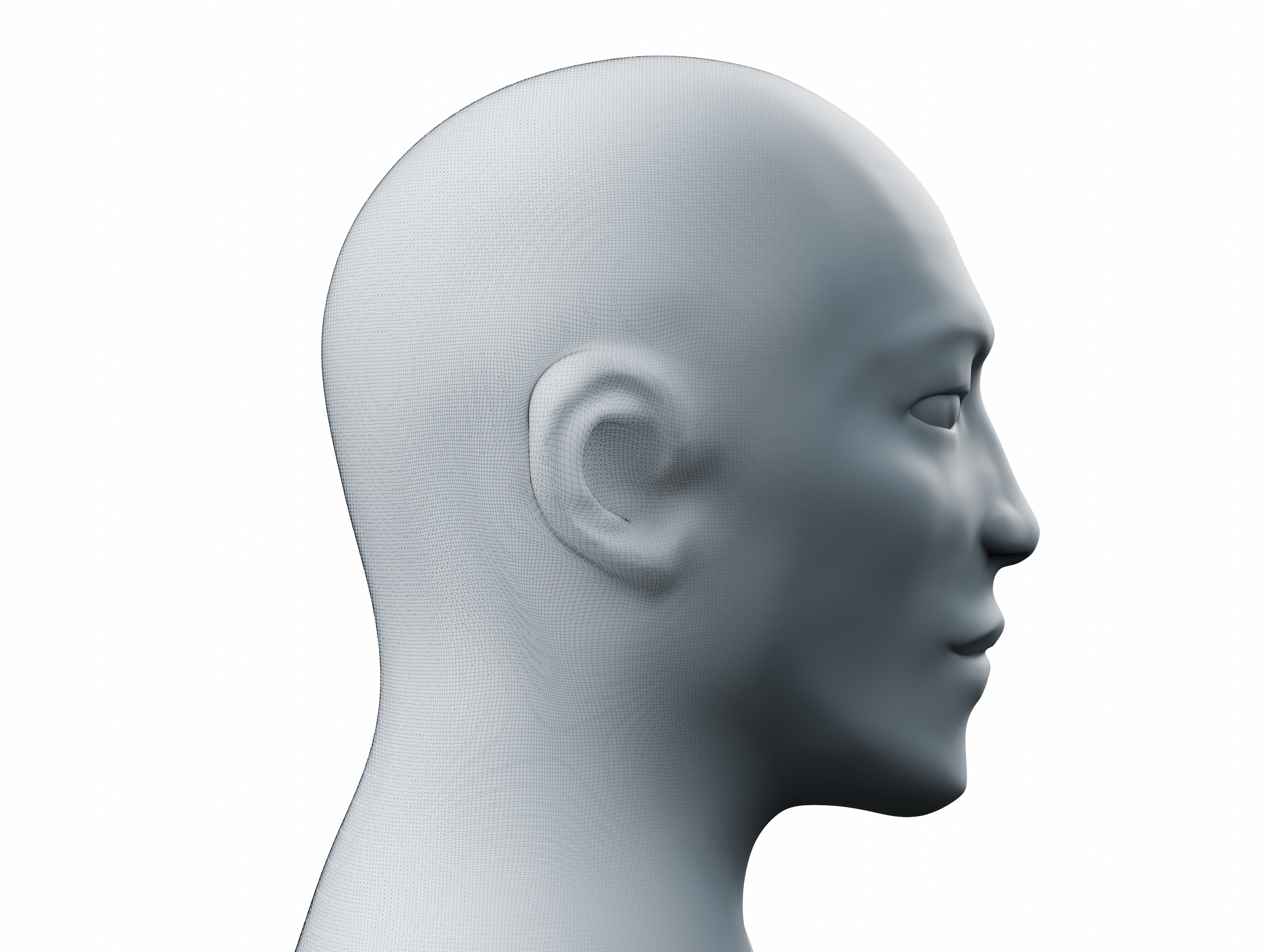 Male Head Sculpt High-Resolution  3D model_3