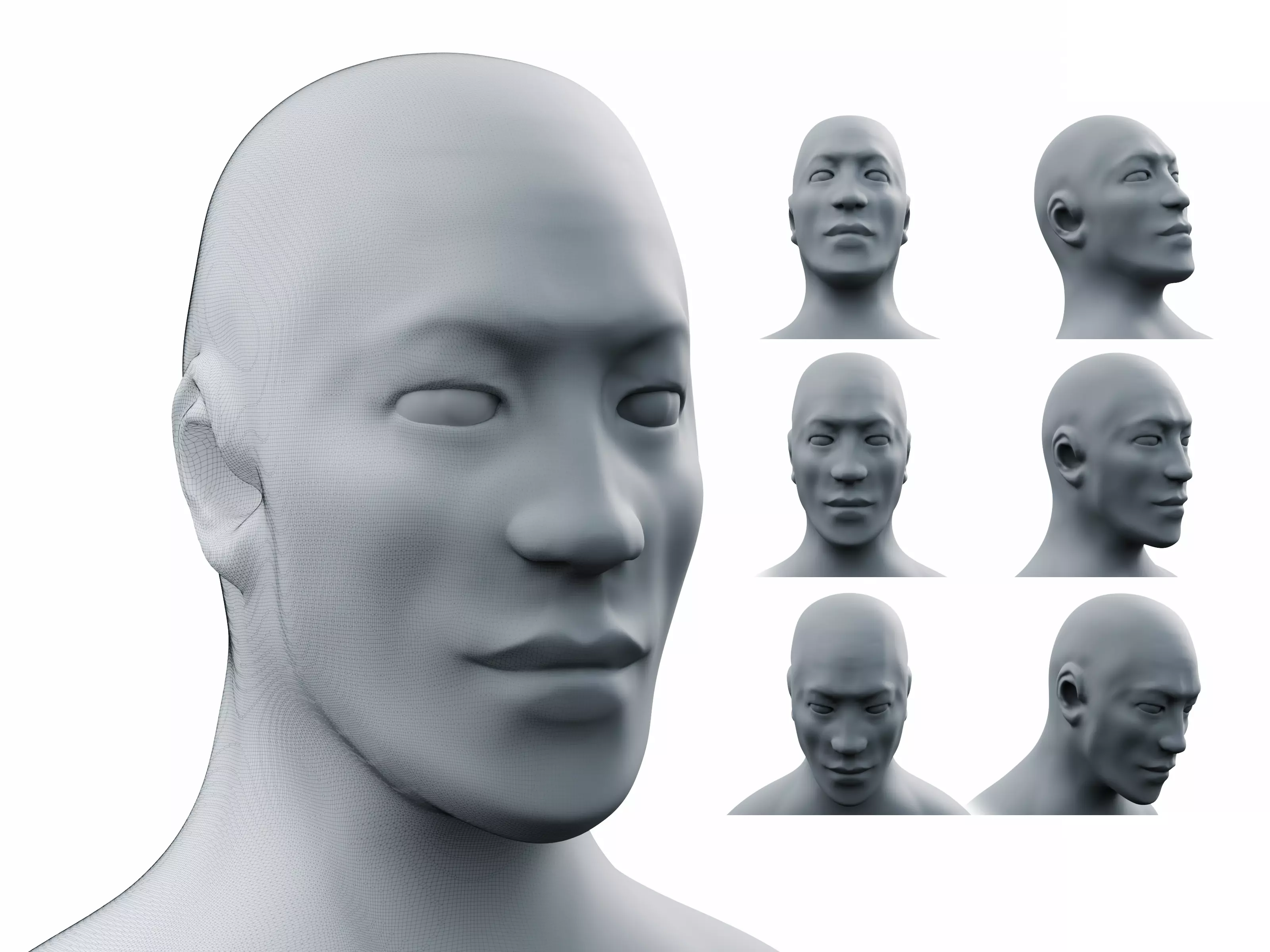 Male Head Sculpt High-Resolution  3D model_0