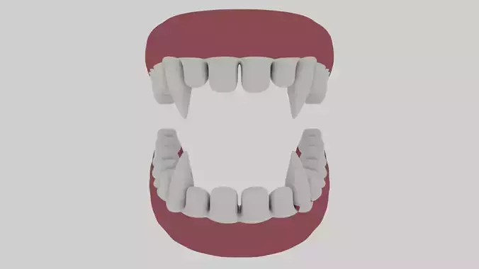 Animal Teeth 3D Model